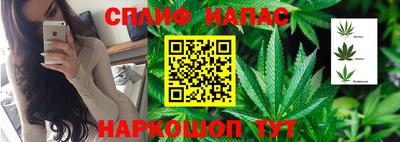 не бодяженный Гулькевичи